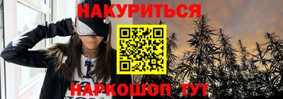 крисы Партизанск