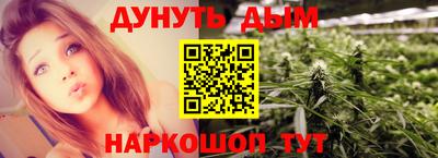 крисы Партизанск