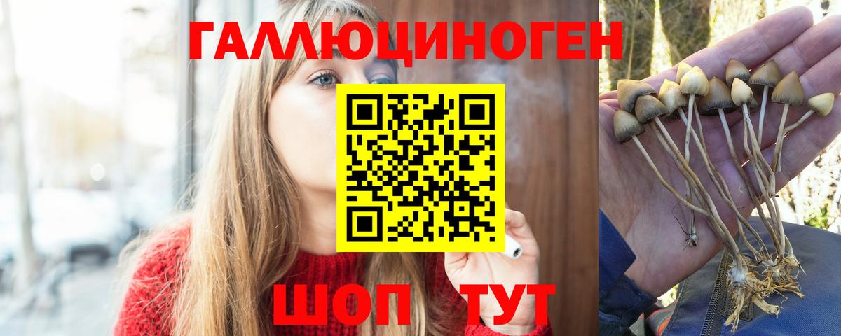 Псилоцибиновые грибы Psilocybine cubensis  Вход с VPN  Белорецк 